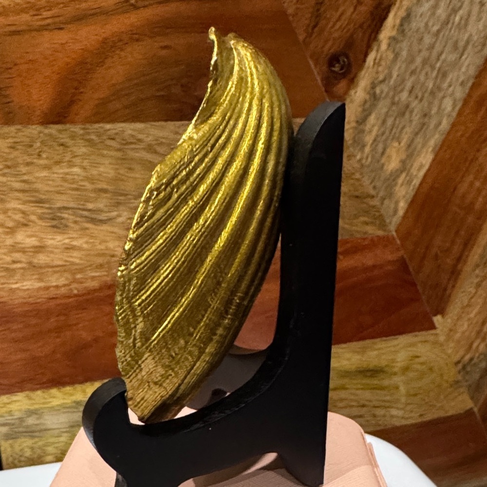 Decorative Shell with Hummingbird Design - Picture 4 of 4